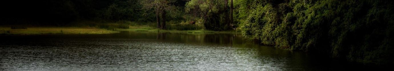 perumbadi-lake-banner