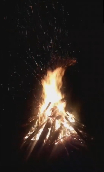 tree-top-houses-coorg