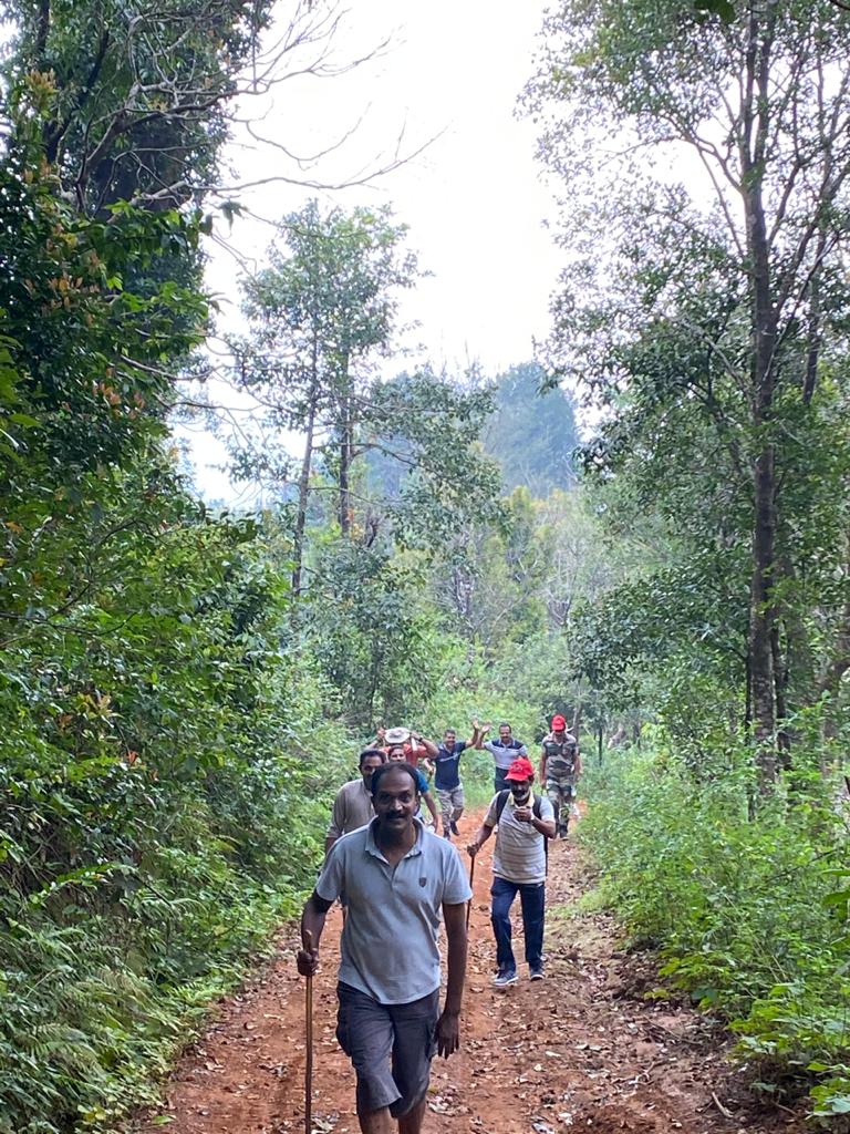 tree-top-houses-coorg